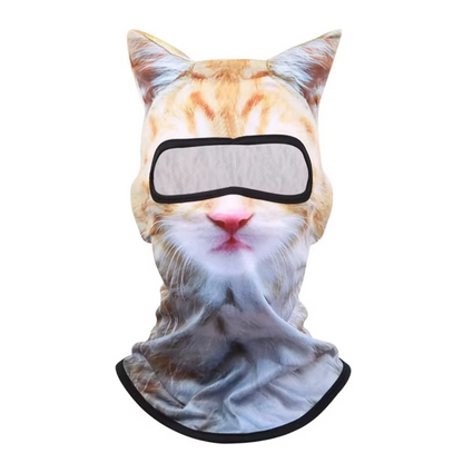 Ski masque