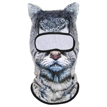 Ski masque