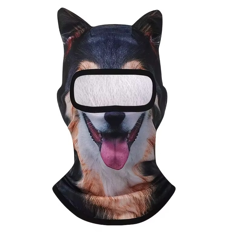 Ski masque