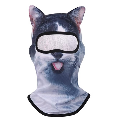 Ski masque